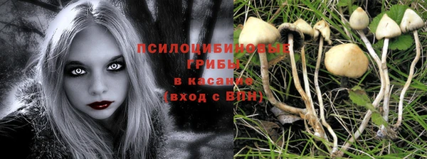 СК Бронницы