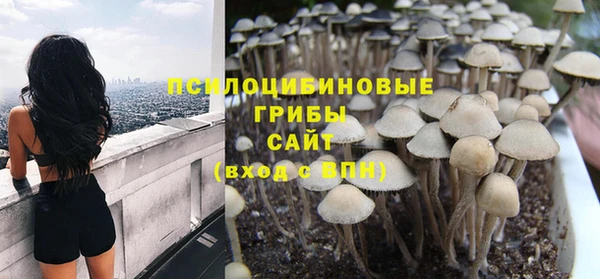 СК Бронницы