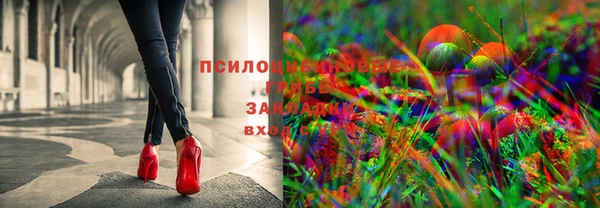 МДПВ Бугульма