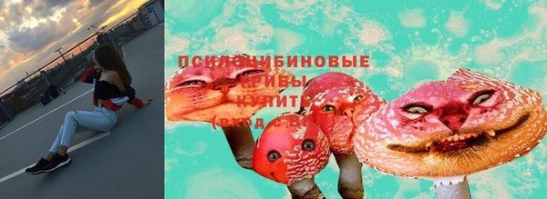 марки nbome Бородино