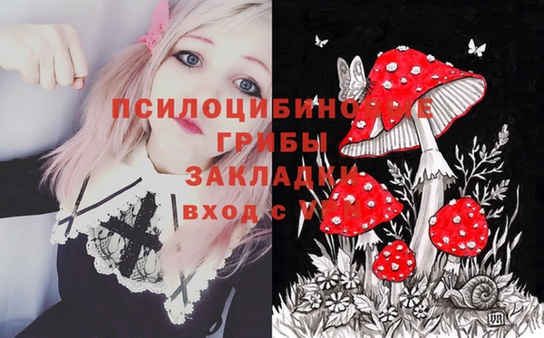 СК Бронницы