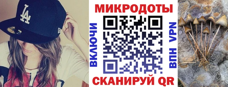 Галлюциногенные грибы Magic Shrooms  Купить  Михайловск 